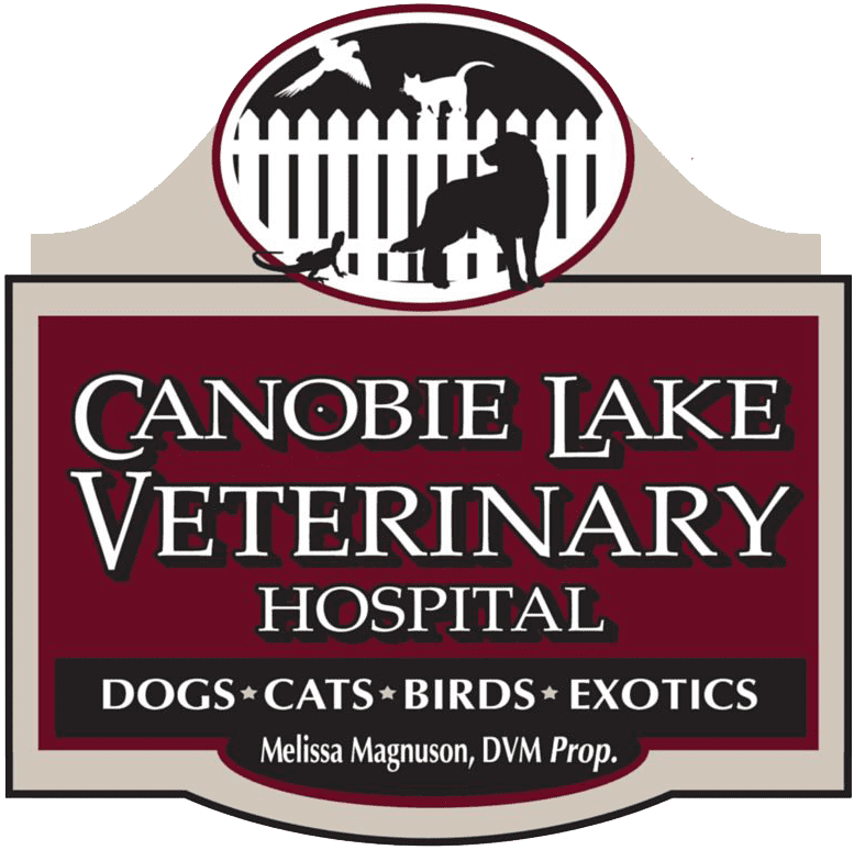 Canobie Lake Vet